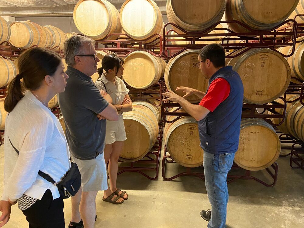 Lavadores de Feitoria | Tour and Concept Tasting