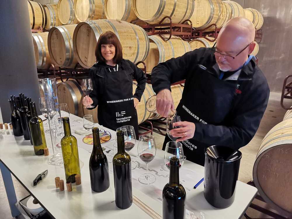 Winemaker for a Day Experience