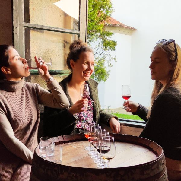 Três pessoas a brindarem com vinho do Porto no Quevedo Lodge Porto