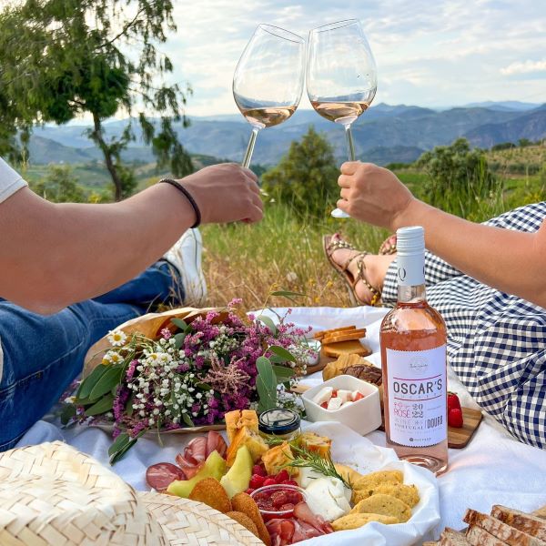 duas pessoas a brindar num piquenique no Douro