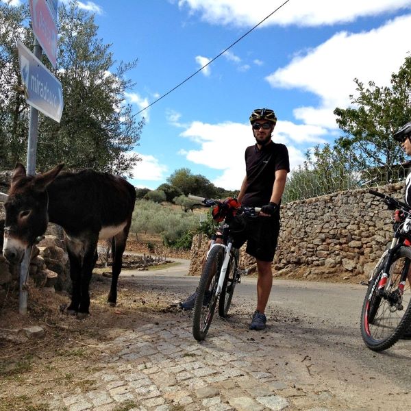 Cycling in the International Douro