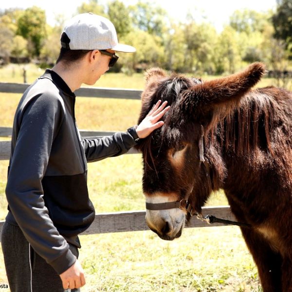Caminhada com o Burro