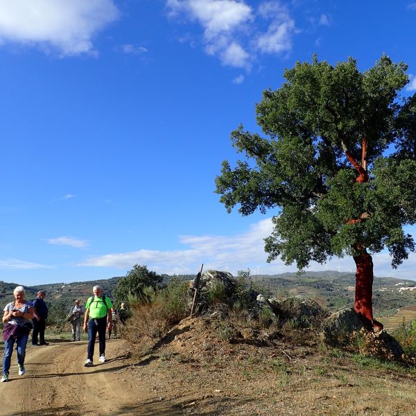 Pinhão - The Douro Heart