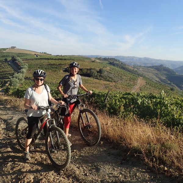 Through the Vineyards